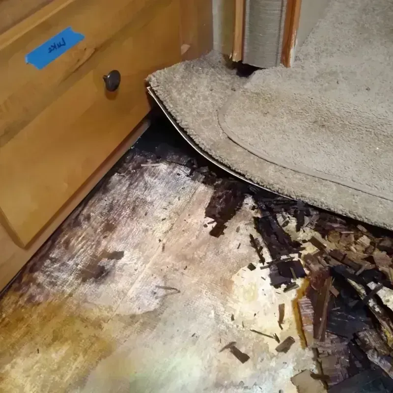 Wood Floor Water Damage in Teton County, MT